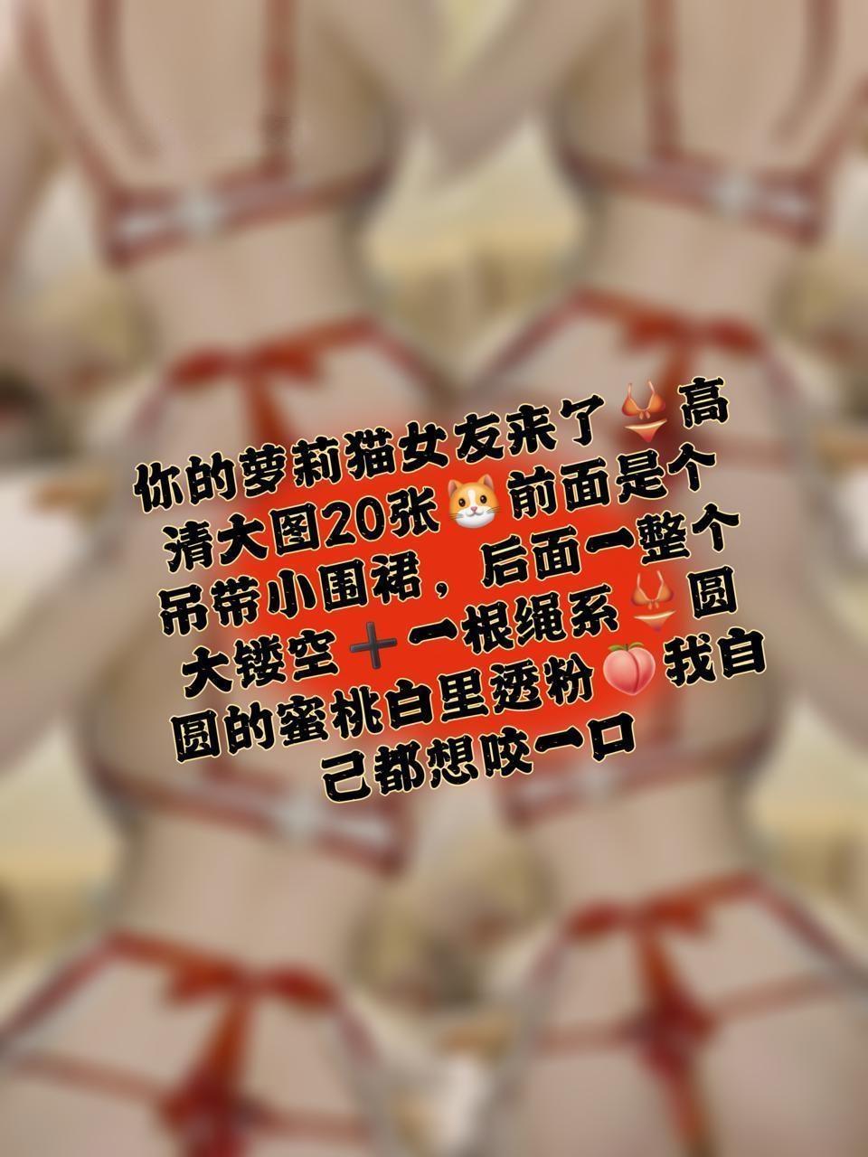 相扑猫 - 你的萝莉猫女友来了，相对她做什么？ 第5张图片