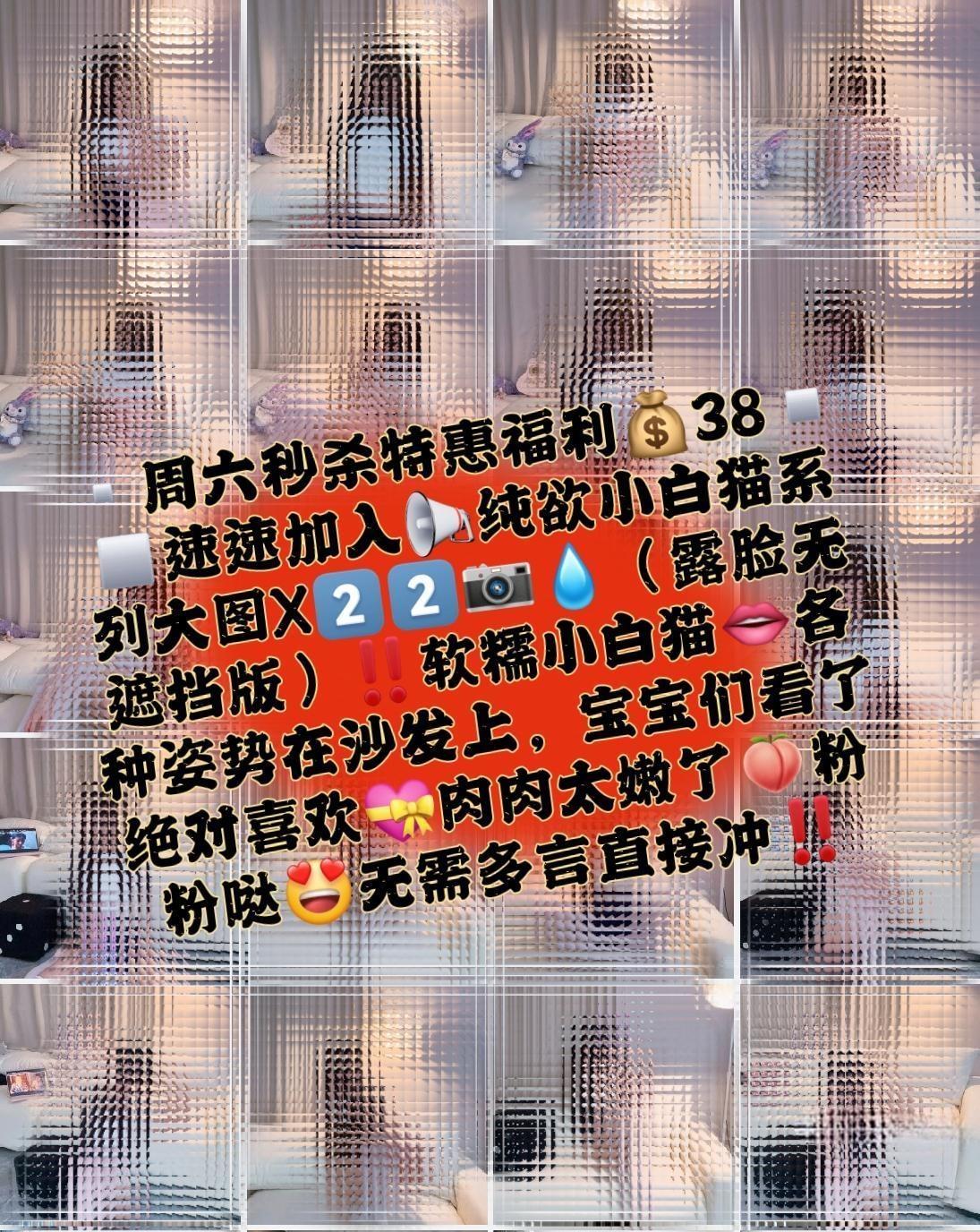 喜欢吃香菜 -  软糯小白猫 第13张图片